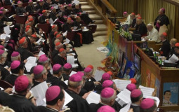 O Papa nomeia bispo da Prelazia de Tefé