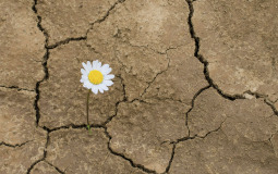 ARTIGO | Deus é a razão da nossa esperança: algumas reflexões à luz da Escritura - por Pe. Adriano Lazarini
