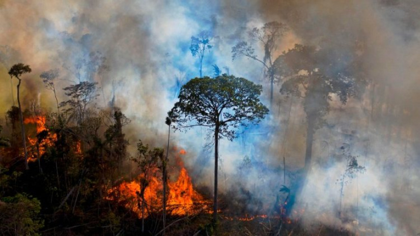 Vaticano na Cúpula da ONU: proteger regiões ricas em biodiversidade, como a Amazônia