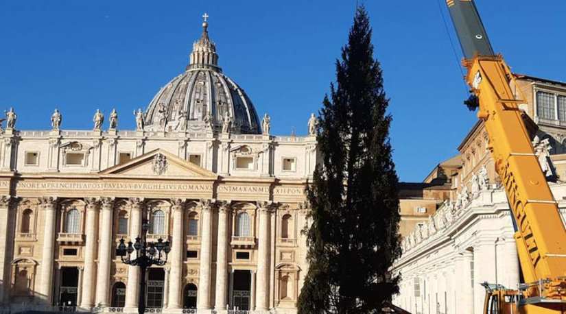 Praça de São Pedro no Vaticano recebe a árvore de Natal deste ano